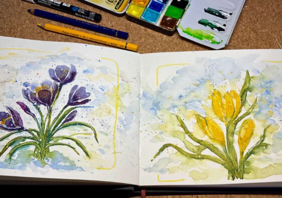 Mit Aquarell gemalte lila und gelbe Krokusse